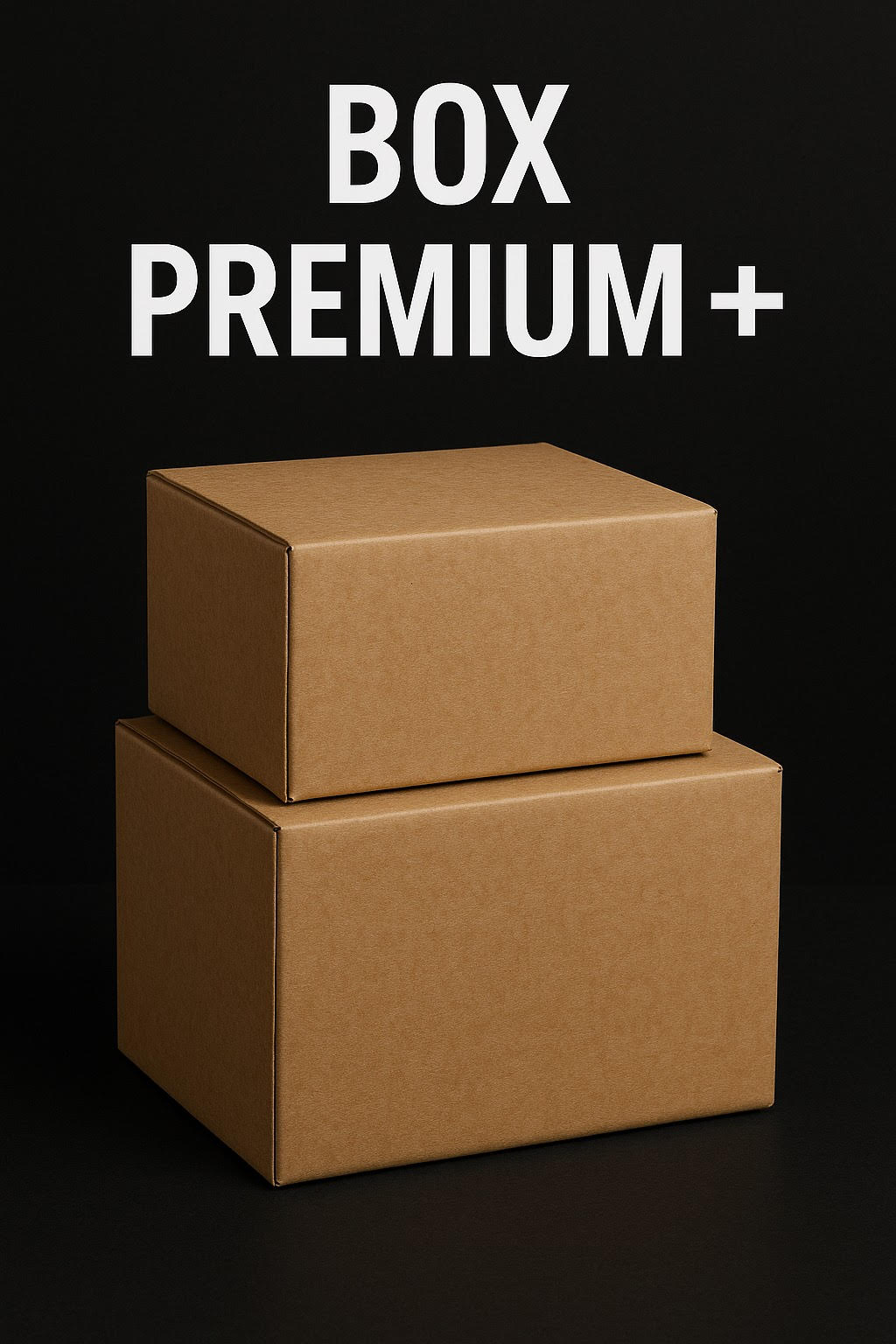 BOX PREMIUM+ MIX